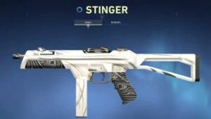 Valorant Stinger